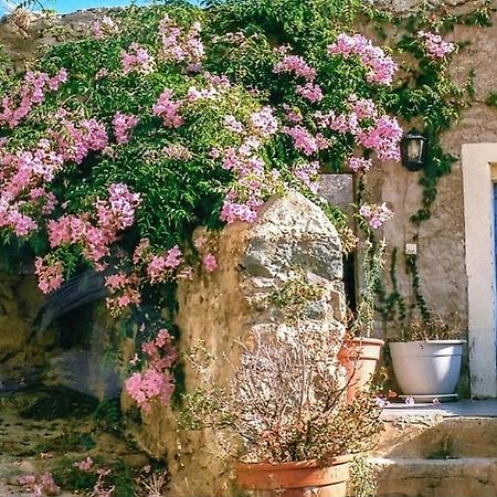 Le Patio. Casa Mucchielli Bed & Breakfast Corbara Exterior photo