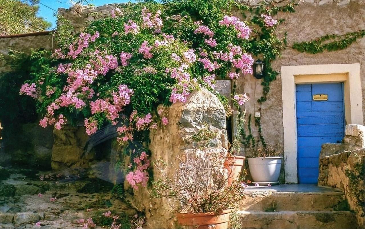 Le Patio. Casa Mucchielli Bed & Breakfast Corbara Exterior photo